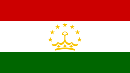 В Таджикистане уничтожено свыше 600 единиц стрелкового оружия