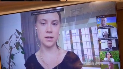 Грета Тунберг приняла участие в видеоконференции с представителями украинской власти