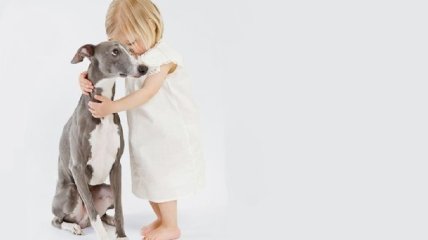 4 способа привлечь ребенка к дрессировке собаки