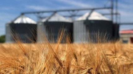 Украина экспортировали почти 3 миллиона тонн зерновых