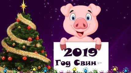 Короткие поздравления с Новым годом 2019 в стихах, красивые открытки со свинками