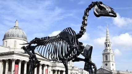 На Трафальгарской площади в Лондоне установили скелет лошади