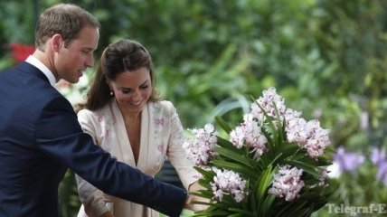 Герцог и герцогиня Кембриджские прибыли в Сингапур (Видео)