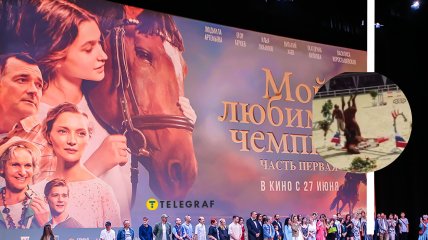 У фільмі "Мій улюблений чемпіон" виконали заборонений трюк із конем