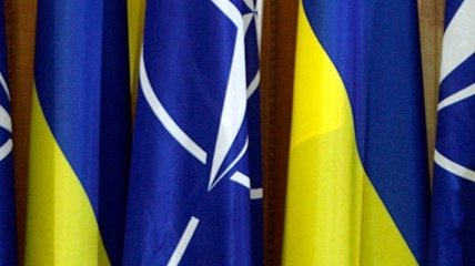 Полторак опроверг утверждение, что Украину в НАТО не ждут
