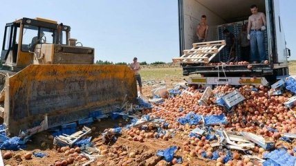 Россельхознадзор: Поток санкционного продовольствия сходит "на нет"