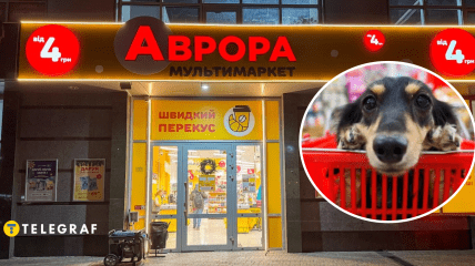 Аврора и собака