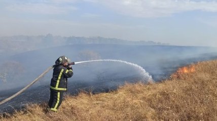 Появились противоречивые данные о жертвах пожаров в Луганской области
