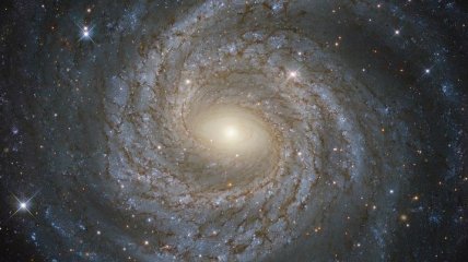 Телескоп Hubble смог получить детальные снимки сейфертовской галактики NGC 6814