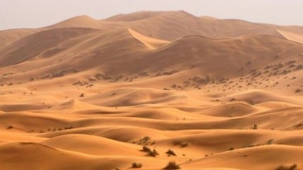 Ученые выяснили, что в прошлом было на месте Сахары