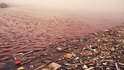 Не райское место: Самый "мусорный" остров Тилафуши в мире (Фото)