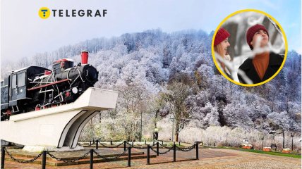 Ліс у Карпатах