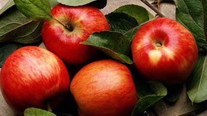 Медики поведали о полезных свойствах яблок 