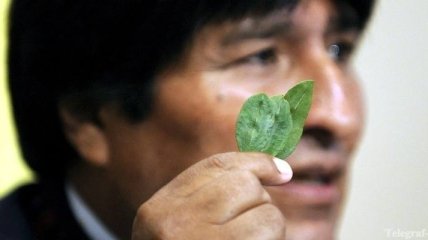 Боливия отстояла право своих жителей жевать листья коки