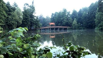 Парк "Пуща-Водица" открыт для посетителей: что изменилось после капремонта
