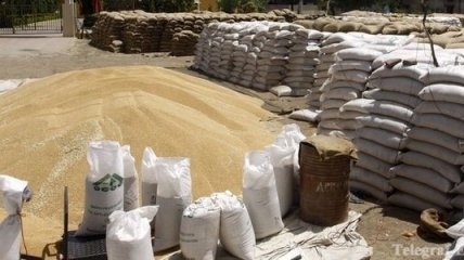В Никарагуа доставлено 25 тысяч тонн российской пшеницы