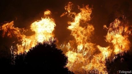 Пожар на юге Испании: эвакуированы тысячи туристов