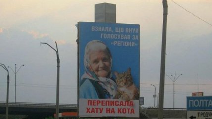 Владелица билборда с бабушкой и котом отрицает давление власти