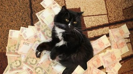 Яким знакам Зодіаку пощастить із фінансами у вересні 2022 року