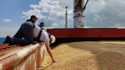 Украинская кукуруза проходит проверку в турецком порту
