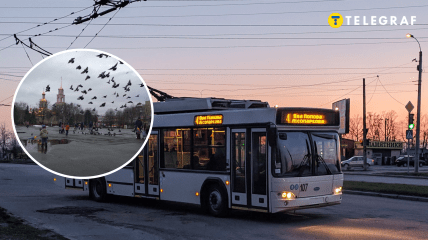 Славянск и троллейбус