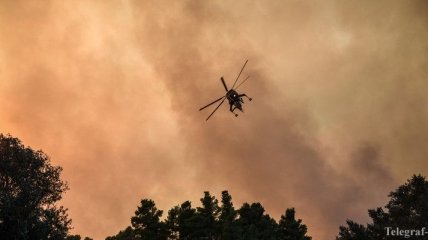 В Финляндии зафиксировано рекордное количество лесных пожаров 