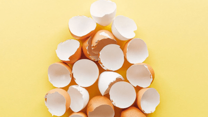 Яєчна шкаралупа