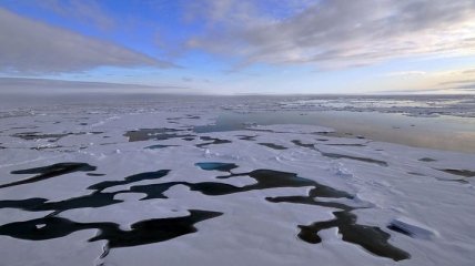 "Голая" Арктика: Северный Ледовитый океан может лишиться льда