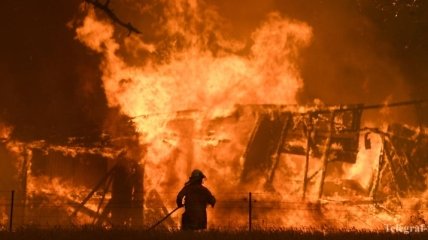 "Глобальная трагедия" и "абсолютный кризис": пожары в Австралии вышли из-под контроля