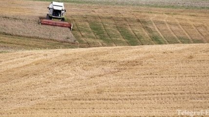 Украина предлагает строить зернохранилища на Ближнем Востоке