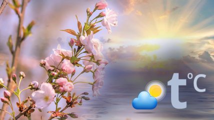 Вслед за грозами идут заморозки: какой будет погода в Украине до конца недели