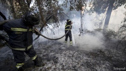 Лесные пожары в Канаде: люди смогли вернутся домой
