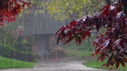Дожди и грозы накроют Украину: прогноз погоды на 5 августа