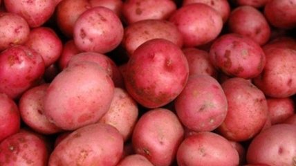 В Сумской области открыли уголовное дело по факту мошенничества на картофеле