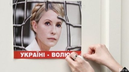 Дипломаты Украины призвали Януковича помиловать Тимошенко