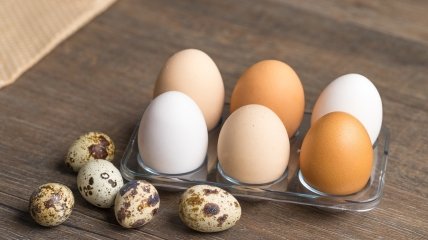Про користь перепелиних яєць існує чимало міфів