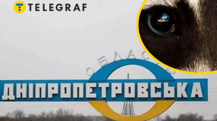 Коллаж "Телеграфа"