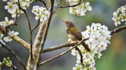 Какой праздник 5 апреля: народные приметы и запреты