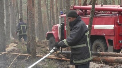 Пожары на Житомирщине: Кабмин выделил 25 млн на ликвидацию