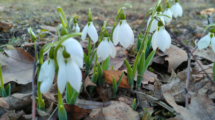 Погода в Україні на вихідні