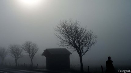 Україну вкриє густий туман: синоптики назвали області