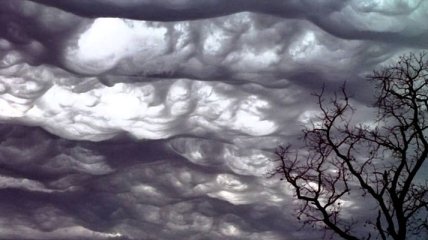 Метеорологи признали существование "зловещих" облаков