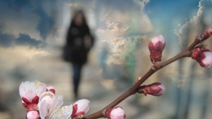 Вербное воскресенье будет холодным: синоптик дала прогноз на 25 апреля