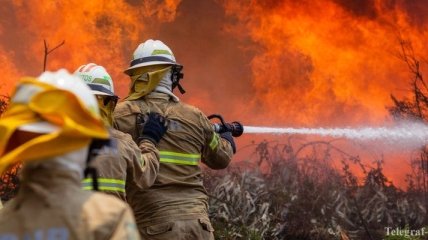 Жертв лесных пожаров в Португалии все больше