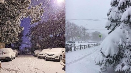 Крым "тонет" в снегу, техника не справляется: в четырех регионах полуострова ввели режим ЧС (фото, видео)