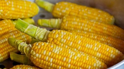 Сладкая кукурузка: кому категорически нельзя ее есть