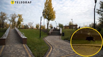 Парк Наталка у Києві