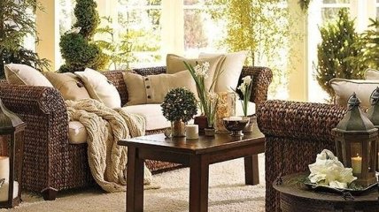Милый дом: комнатные растения, которые сделают уютным ваше жилище (Фото)