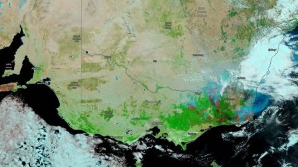Вид с космоса: NASA показало, как дым австралийских пожаров проделал кругосветное путешествие (Фото, Видео)