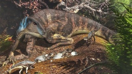 В Австралии ученые нашли детеныша динозавра (Фото)